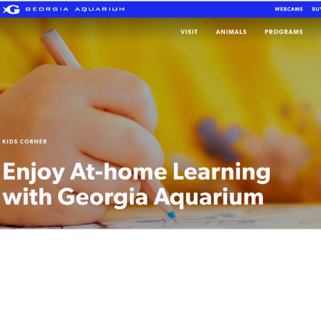 Georgia Aquarium