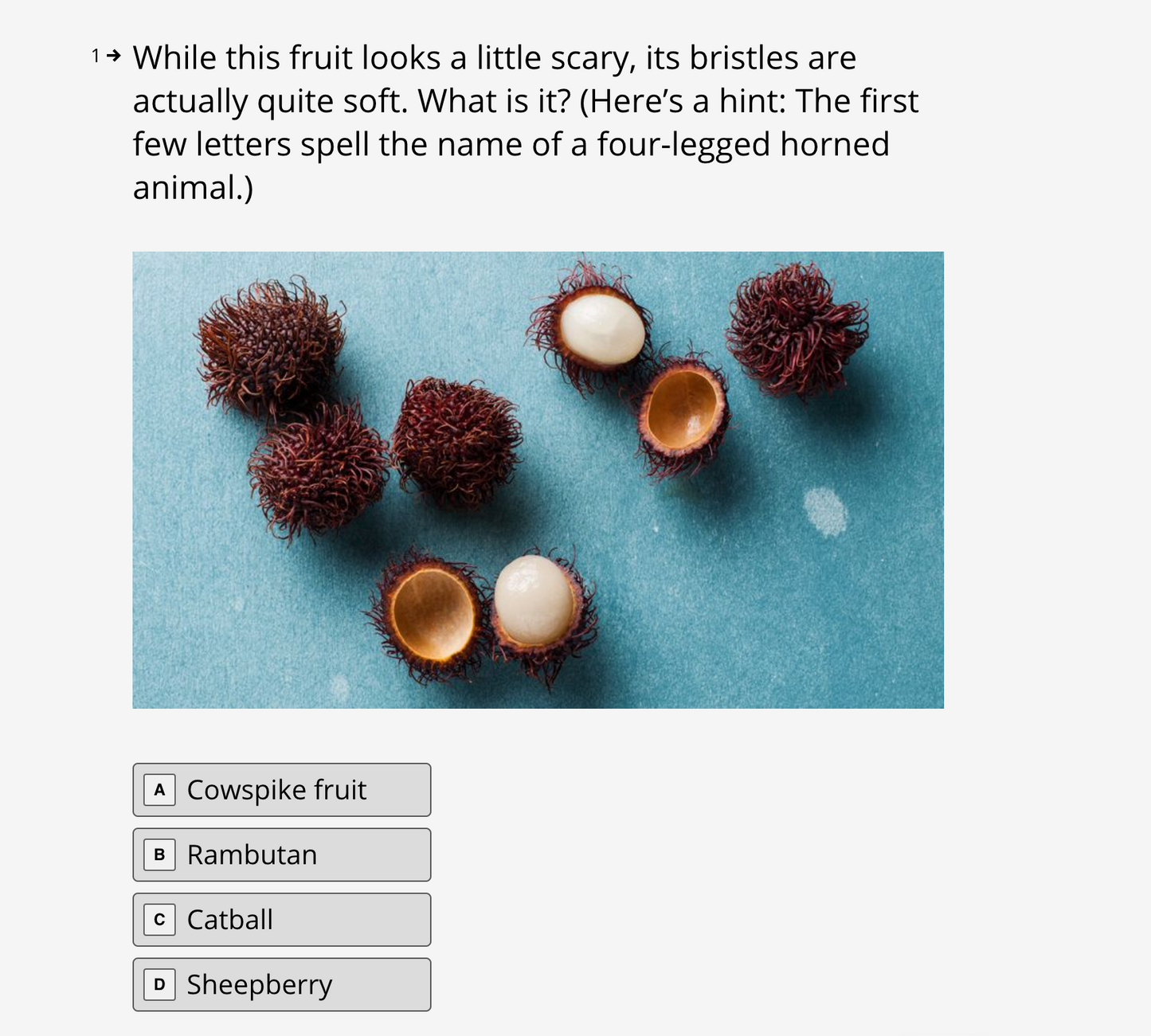 America's Test Kitchen Kids